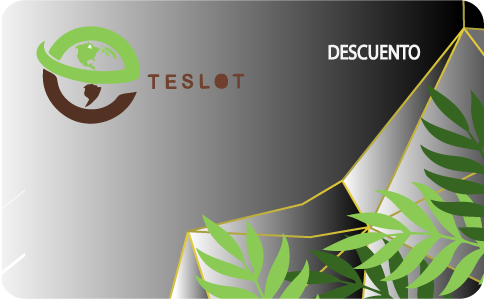 TeslotPass Silver